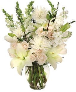 Sensational White Flower Arrangement ($100 & Up)